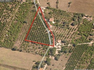 Terreno agricolo in Vendita a Siracusa, 80'000€, 7000 m²