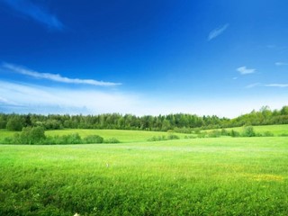 Terreno edificabile in Vendita a Fabriano, 60'000€, 1200 m²