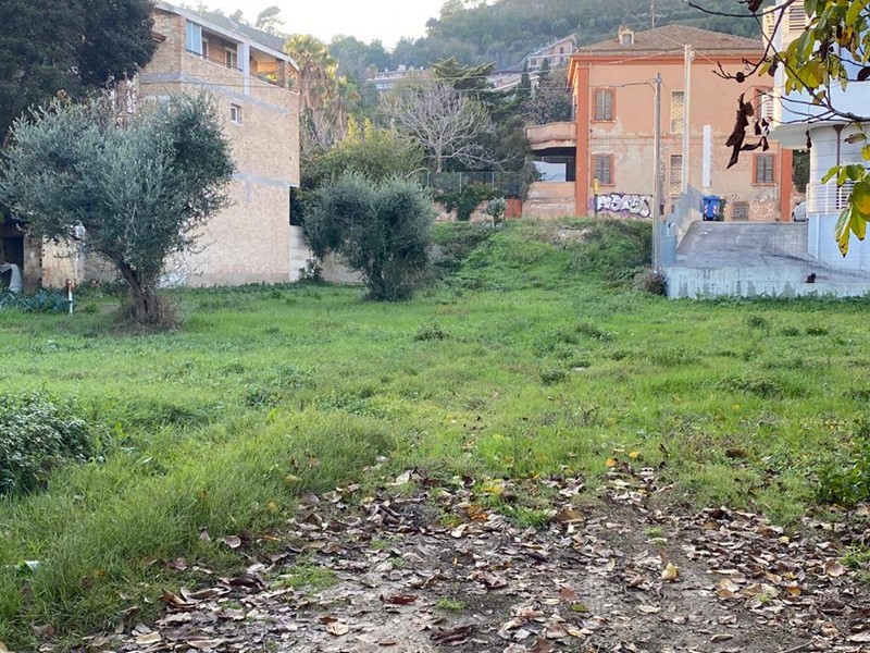 Terreno edificabile in Vendita a Grottammare, 650'000€, 1367 m²
