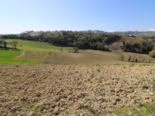 Terreno agricolo in Vendita a Montottone, 85'000€, 60000 m²