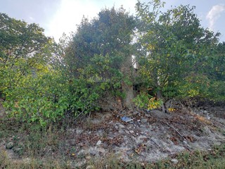 Rustico in Vendita a Ripatransone, 110'000€, 200 m²