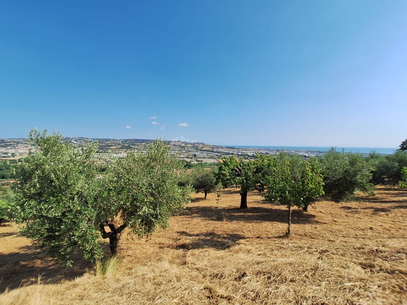 Terreno agricolo in Vendita a Colonnella, 70'000€, 9000 m²
