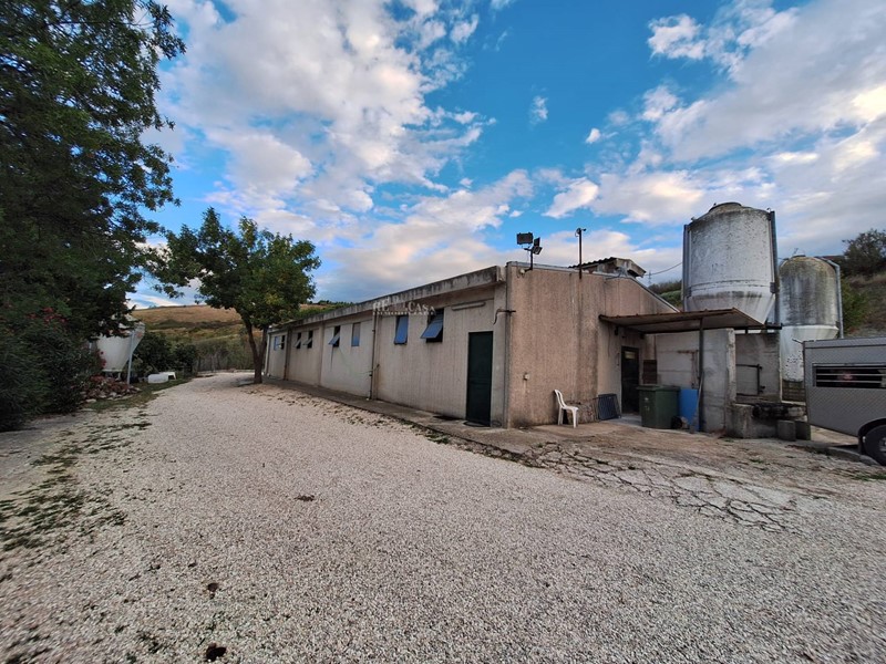 Attività commerciale in Vendita a Maltignano, 630 m², con Box