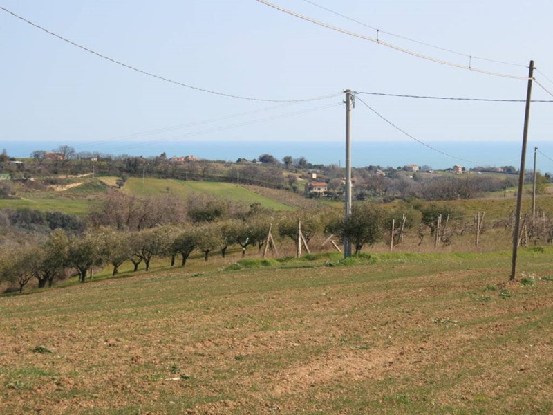 Terreno edificabile in Vendita a Massignano, 45'000€, 1500 m²