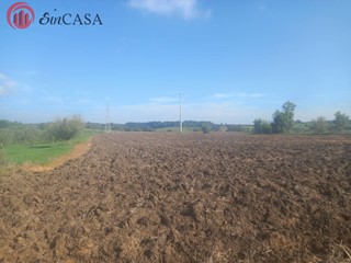 Terreno agricolo in Vendita a Cerveteri, 145'000€, 53000 m²