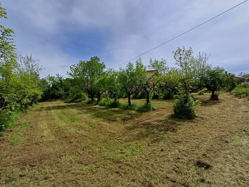 Terreno agricolo in Vendita a Fiuggi, 10'500€, 2000 m²