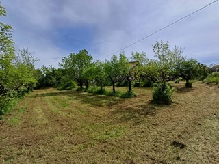 Terreno agricolo in Vendita a Fiuggi, 10'500€, 2000 m²