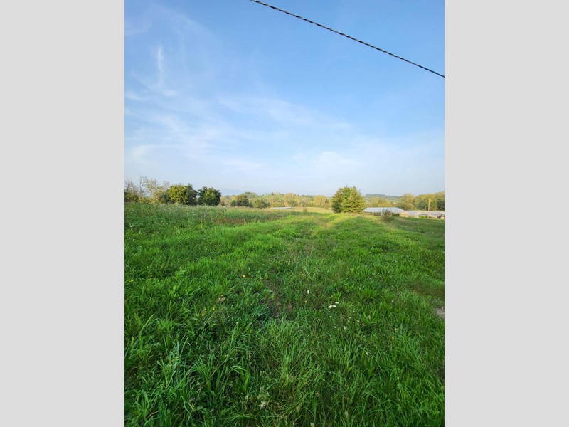 Terreno agricolo in Vendita a Pofi, 21'000€, 7000 m²