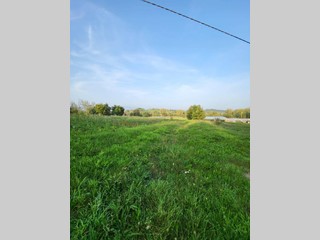 Terreno agricolo in Vendita a Pofi, 21'000€, 7000 m²