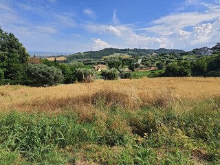 Terreno edificabile in Vendita a Colonnella, 120'000€, 3000 m²