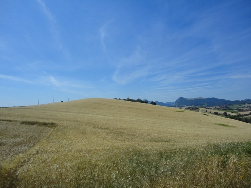 Terreno agricolo in Vendita a Poggio San Marcello, 80'000€, 65000 m²