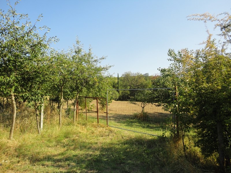 Attività commerciale in Vendita a San Marcello, 200'000€, 44000 m²