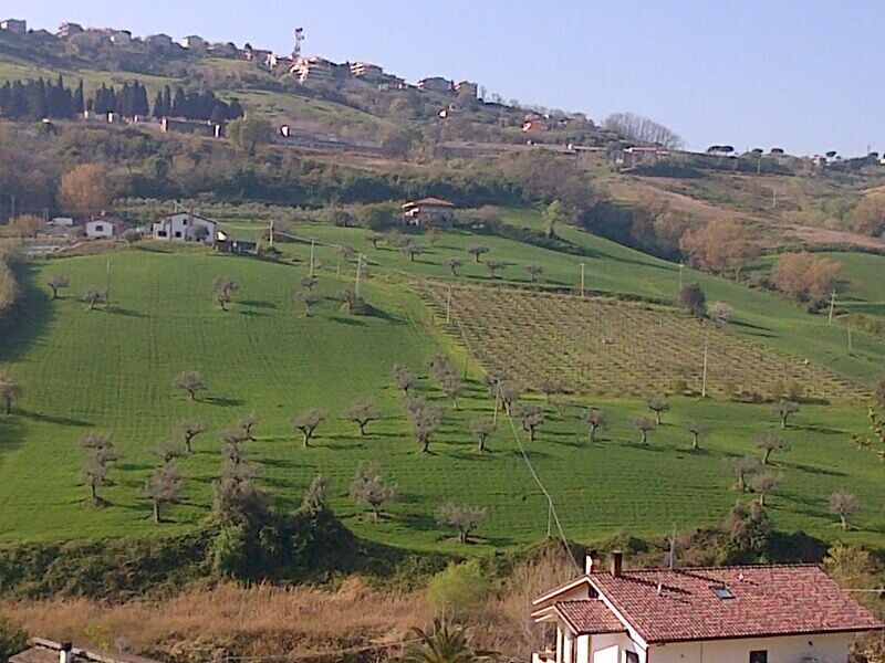 Terreno agricolo in Vendita a Silvi, 130'000€, 131560 m²