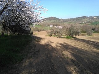 Terreno agricolo in Vendita a Campli, 20'000€, 19560 m²