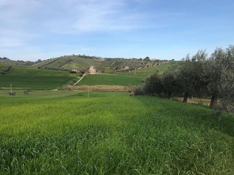 Terreno agricolo in Vendita a Tortoreto, 98'000€, 32220 m²