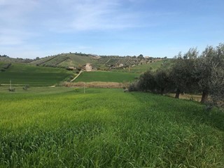 Terreno agricolo in Vendita a Tortoreto, 98'000€, 32220 m²