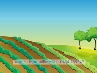Terreno agricolo in Vendita a Gaiarine, 75'000€, 7330 m²