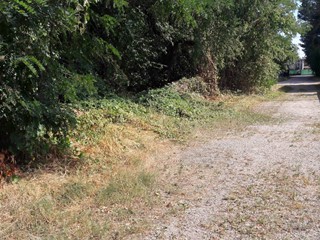 Terreno edificabile in Vendita a Samarate, 170'000€, 4345 m²