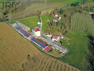Capannone in Vendita a Spigno Monferrato, 1800 m²