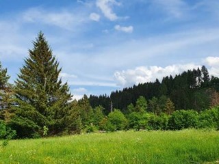 Terreno edificabile in Vendita a Tarvisio, 270'000€, 2230 m²