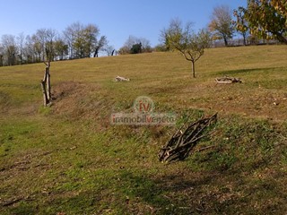 Terreno edificabile in Vendita a Brendola, 135'000€, 2370 m²