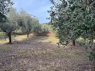 Terreno edificabile in Vendita a Vasto, 90'000€, 867 m²