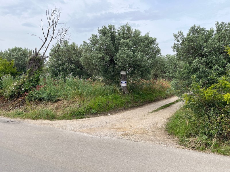 Terreno agricolo in Vendita a Vasto, 36'900&euro;, 3940 m²