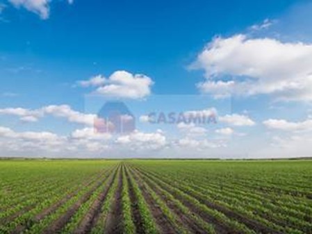 Terreno agricolo in Vendita a San Quirino, 90000 m²