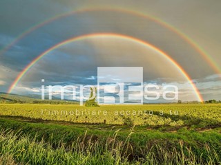 Terreno agricolo in Vendita a Casale sul Sile, 240'000€, 28879 m²