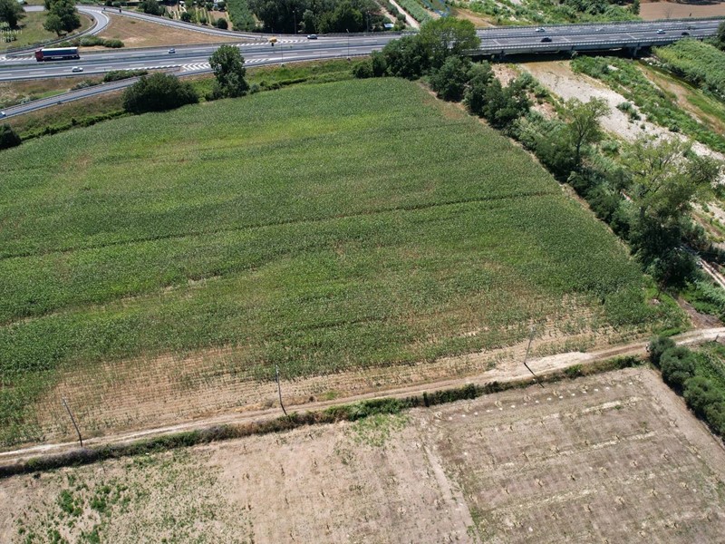 Terreno edificabile in Vendita a Pedaso, 3'000'000€, 39665 m²