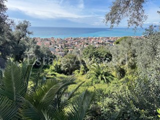 Terreno edificabile in Vendita a Bordighera, 800'000€, 6000 m²