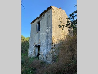 Rustico in Vendita a Prignano Cilento, 65'000&euro;, 45000 m²