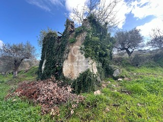 Terreno agricolo in Vendita a Perdifumo, 28'000&euro;, 3194 m²