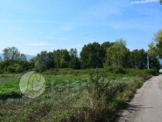 Terreno edificabile in Vendita a Pignataro Interamna, 90'000€, 5920 m²
