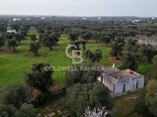 Terreno agricolo in Vendita a Ostuni, 58'000€, 22037 m²