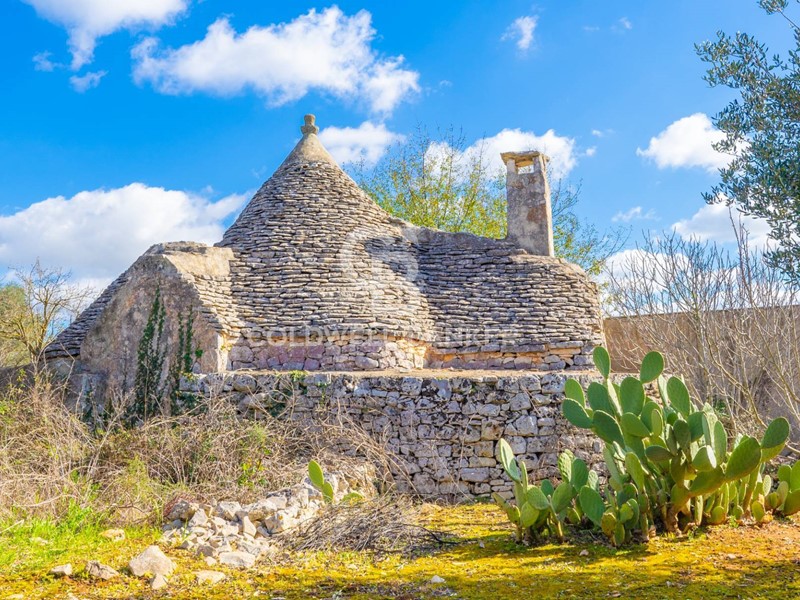 Cascina in Vendita a Cisternino, 45'000€, 42 m²