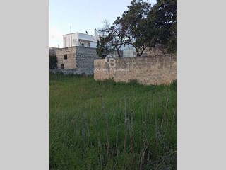 Terreno edificabile in Vendita a Torre Santa Susanna, 300'000€, 1797 m²