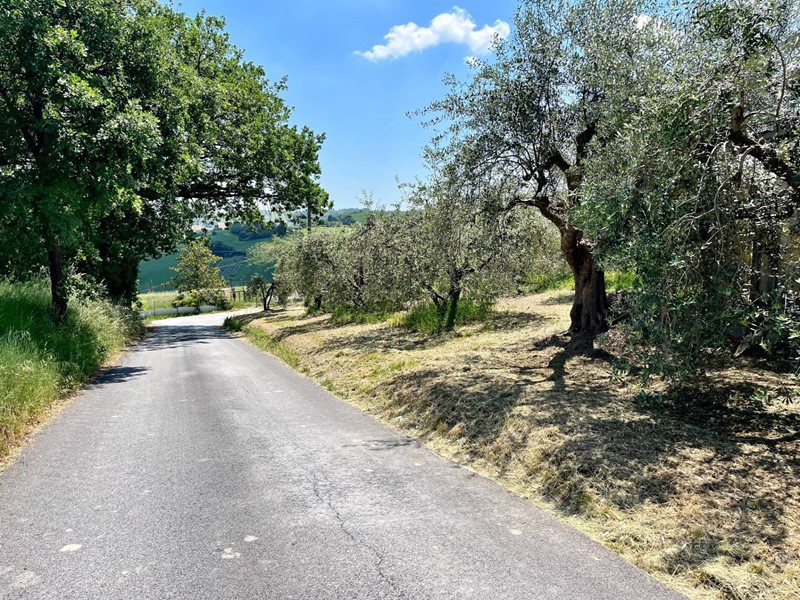 Terreno agricolo in Vendita a Monte San Pietrangeli, 22'000€, 6500 m²