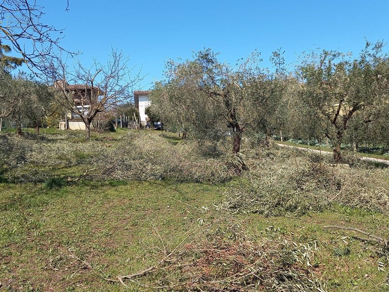 Terreno edificabile in Vendita a Colli del Tronto, 64'000€, 800 m²