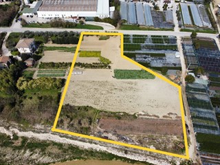 Terreno agricolo in Vendita a Ripatransone, 125'000€, 8000 m²