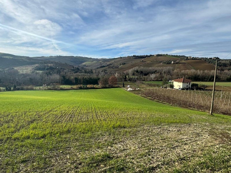 Terreno agricolo in Vendita a Offida, 225'000€, 89524 m²