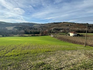 Terreno agricolo in Vendita a Offida, 225'000€, 89524 m²