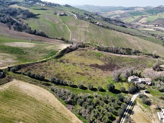 Terreno agricolo in Vendita a Ripatransone, 85'000€, 38760 m²