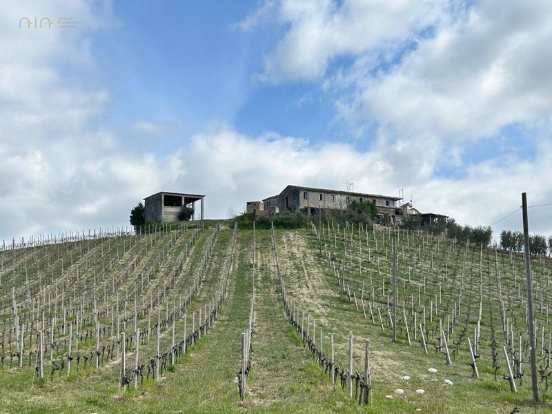 Rustico in Vendita a Castignano, 460'000€, 250 m²