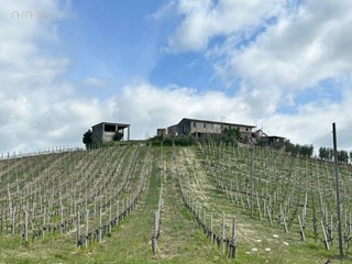 Rustico in Vendita a Castignano, 460'000€, 250 m²