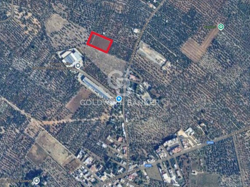 Terreno agricolo in Vendita a Bitonto, 55'000€, 5384 m²
