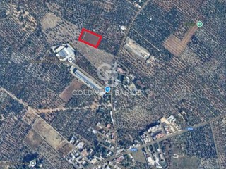 Terreno agricolo in Vendita a Bitonto, 55'000€, 5384 m²