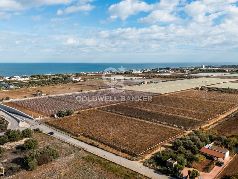 Terreno edificabile in Vendita a Bari, 1'500'000€, 51000 m²
