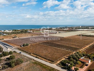 Terreno edificabile in Vendita a Bari, 1'500'000€, 51000 m²