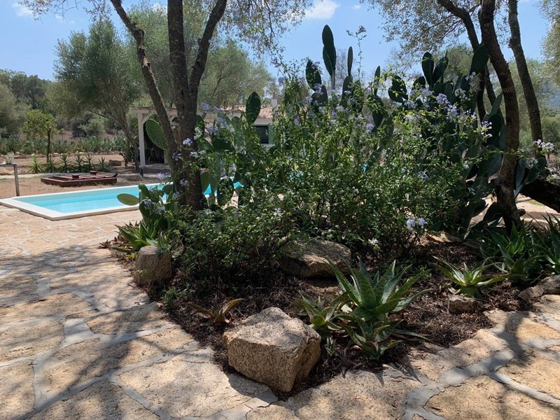 Villa in Vendita a Olbia, 1'080'000&euro;, 236 m²